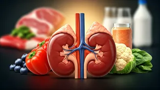 Kidney Health: 4 Foods to Embrace, 4 to Avoid, According to Science