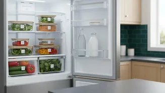 Plan For A Shared-Fridge Agreement Around Shelf Rules And Leftovers And Weekly Clear-Outs