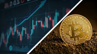 ETFs Bring Regulation, Digital Gold Brings Convenience
