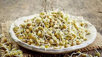 Supercharge your mornings with sprouted lentils