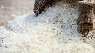 Indian rice export prices near 10 month high amid monsoon