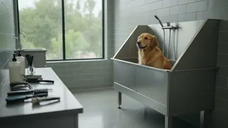 A Pet-Care Service Should Share Its Staff Training Standards