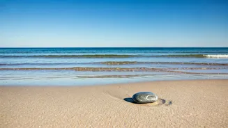 Shah Rukh Khan's Timeless Wisdom on Life