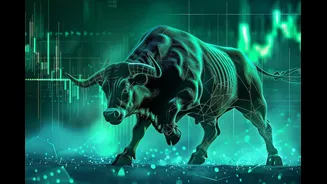 Related Stories banner