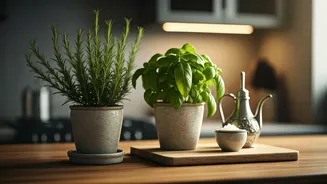 Rosemary And Basil Make Cooking Corners Feel Premium