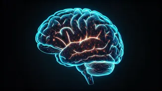 Your Inner Dialogue: How Self-Talk Rewires Your Brain, According to a Psychologist