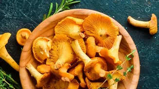From Forest Trails To Dinner Plates, Monsoon Mushrooms Are Having A Culinary Moment