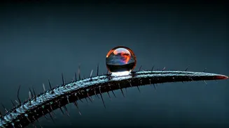 Scorpio: Navigate May 5, 2026's Sharp Words with Composure & Wisdom