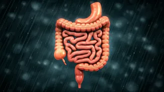 Rainy Wellness Is Basically Gut Defence Now