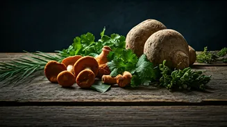 Monsoon Menus Are Going From Local To Wild
