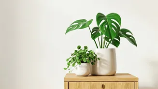 Mud-Free Green Corners Are The New Decor Crush