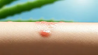 Beat the Heat: 7 Natural Remedies for Soothing Stubborn Heat Rashes