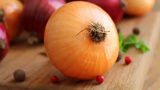 Planning For Seasonal Vegetable Meal Planning Includes Cooking Methods And Seasonings And Textures