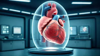 Push-Up Test: Heart Risk Insights!