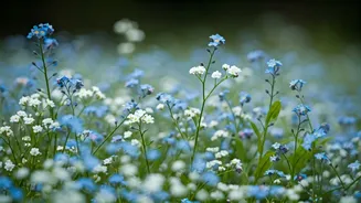 Nature-Inspired Baby Names: A Beautiful Guide