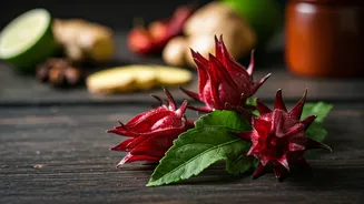 5 Delicious African Sorrel Recipes: A Tangy Twist to Your Meals