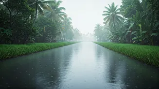 Monsoon Gives Kerala A Slow-Travel Glow-Up