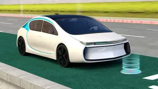A Viral Road Test Shows the Difference Between Detection and Decision