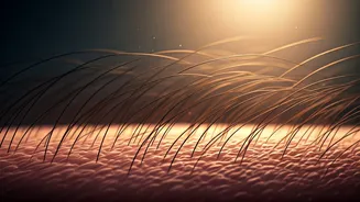 Alopecia Areata: 5 Natural Home Remedies for Hair Regrowth