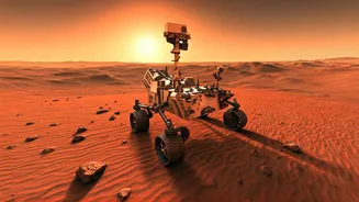 Sojourner's Journey: A Pioneer's Martian Trek