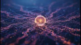 What AI Activity Patterns Reveal About Today's Digital Lifestyles