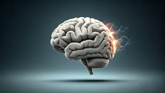 Doctor Flags Habits That May Age Your Brain