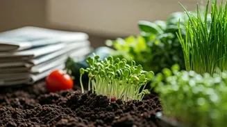 Gardening Is No Longer A Hobby