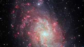 Why One Galaxy Looks Different Across Radio, Infrared And X-Ray Light