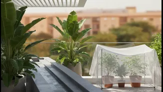 Urban Gardeners Need To Plan For Monsoon Drainage And Summer Heat