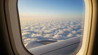 Why Turbulence Feels More Violent at the Back of an Aircraft