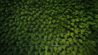 Wellness-Driven Design Is What Indian Cities Want