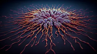 Unlocking Immunity: Simple Behaviors to Stay Healthy