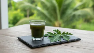 Papaya Leaf Juice Is Popular but Scientific Support Remains Weak