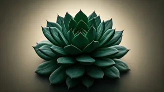 Emotionally Mature Partners: Green Flags