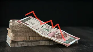 Urban Company: Q3 Results and Financial Performance