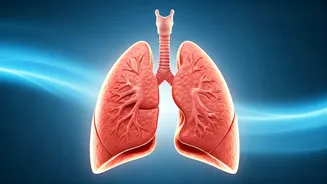 Breathe Easy: Reducing Pollution's Impact