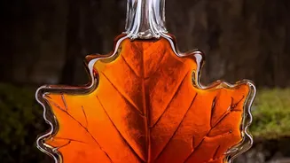 Why Maple Syrup Should Be Treated as Added Sugar