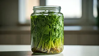 Keep Coriander Fresh For Weeks With This Glass Jar Hack