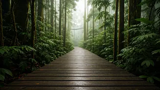 Monsoon Canopy Walks Are Going Viral