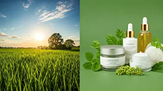 Food And A Beauty Bill Share One Climate Story