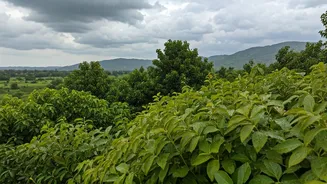 Rajasthan In July Has Rain-Light Getaway Energy