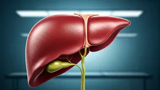 Unveiling Liver Health: What You Need to Know