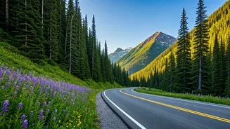 Escape the Ordinary: India's Undiscovered Hill Havens