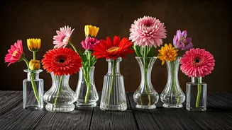 Related Stories banner