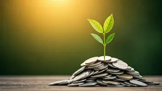 Young Indians Are Learning Money Before Panic Hits