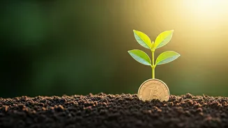The Wealth Habit Beginners Actually Stick To
