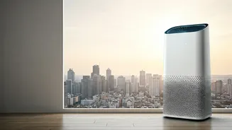 Delhi's Air: How Many Purifiers?