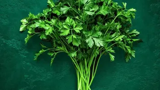 Inside Parsley Recipe Ideas: A Green Addition To Savoury Snacks