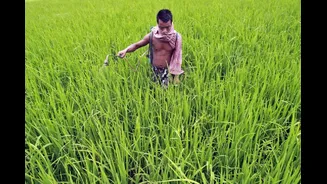 Why End Of Hormuz Blockade Is Good News For Indian Farmers