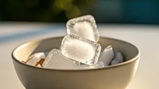 Coconut Water Ice Blocks Are Ultimate Summer Hydration Trick